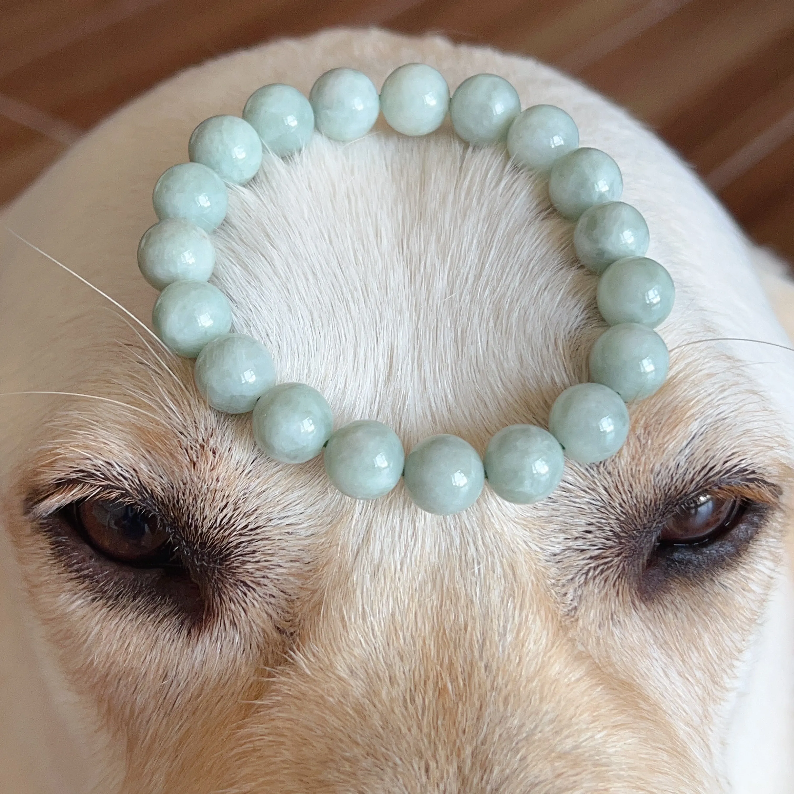 Natural Jadeite Healing Stone Elastic Bracelet | 10.3mm Jade Beads Jewelry Handmade by Karen | 4th Heart Chakra Lower Blood Pressure